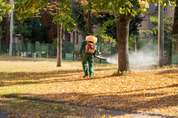 Professional Pest Control in San Carlos Park, FL